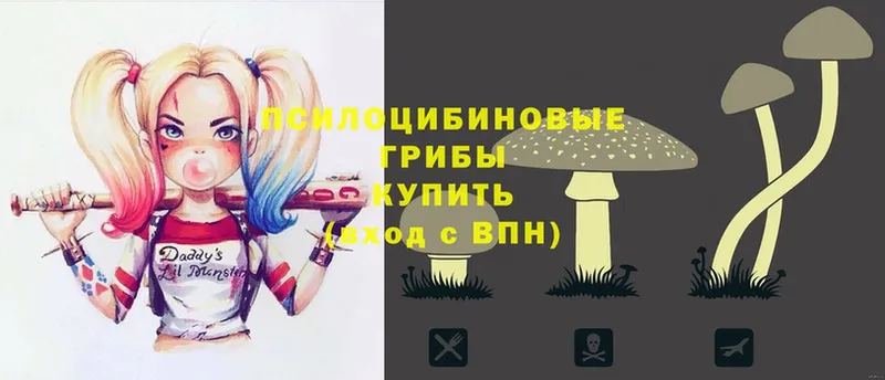 как найти   нарко площадка официальный сайт  Псилоцибиновые грибы Magic Shrooms  Александровск 